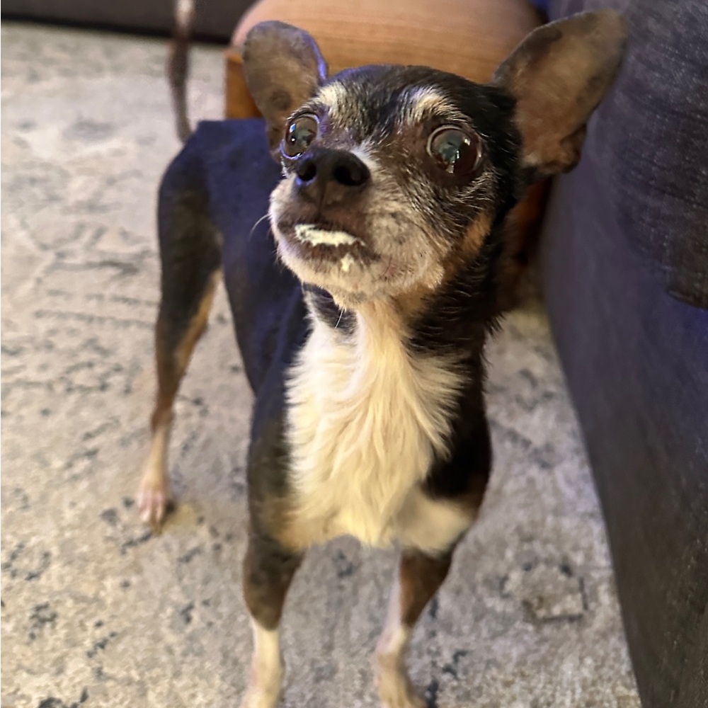 Meet your Posher, Kim